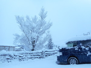 積雪40センチ!! - koshiji's blog