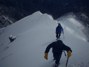 kurokoshusaru2006-01-13