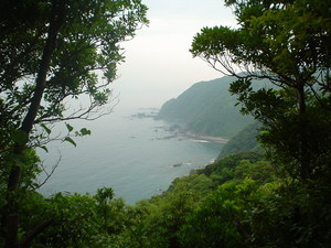 kurokoshusaru2009-06-20