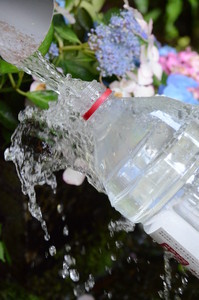 水を汲むこと 水を汲むこと