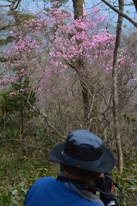 写真小僧 写真小僧