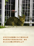 文字、読めるかな? 文字、読めるかな?