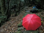 lightsilver2012-10-15