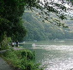 luis01172007-02-17 luis01172007-02-17