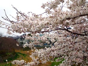 macky-jun2009-03-31 macky-jun2009-03-31