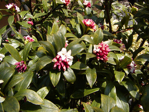makisuke2005-03-08