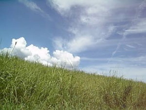 mamiamamiya2007-08-29 mamiamamiya2007-08-29