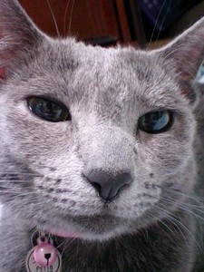 アップはやめてぇ〜