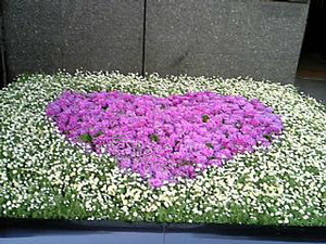 maru992005-03-29