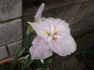 maru992006-07-04 maru992006-07-04