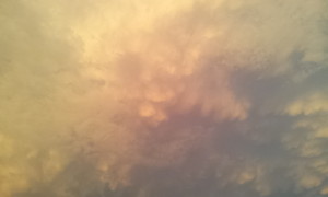 maru992012-08-05 maru992012-08-05