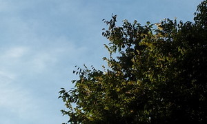 maru992012-08-28 maru992012-08-28