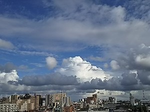 maru992016-07-31 maru992016-07-31