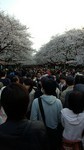 masumi_color2013-03-23 masumi_color2013-03-23