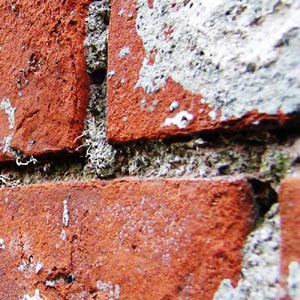 上野散歩 | 060918 上野散歩 | 060918