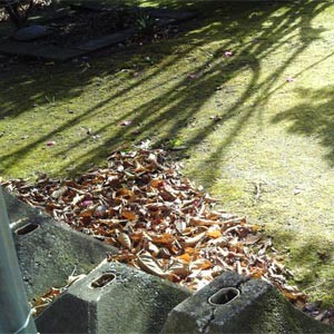 庭 | 071231 庭 | 071231