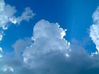 なつくも なつくも