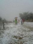 michioaruku2005-12-04