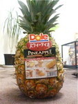 mippu2008-02-29