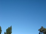 momocolor2007-10-23