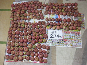 moncho2010-11-03