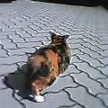 morohiro_s2004-10-14