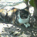 morohiro_s2006-05-21 morohiro_s2006-05-21