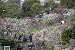 motoyuki2011-03-11 motoyuki2011-03-11