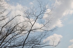 はるの風が吹く はるの風が吹く