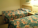 mukadakko2006-02-19