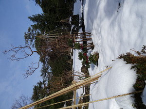 mukku38682014-01-02 mukku38682014-01-02