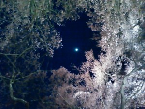 mukku38682014-04-23 mukku38682014-04-23