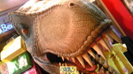 nabe20302009-07-24