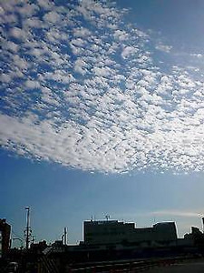 nagatani2006-10-26 nagatani2006-10-26