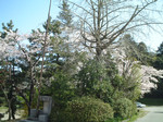 nanbo4n2004-03-26 nanbo4n2004-03-26