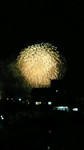 nejimaki-tori2012-08-08
