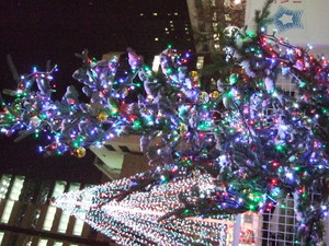 ホワイトイルミネーション