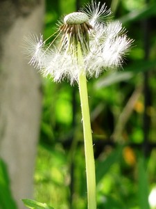 noir5552010-05-15 noir5552010-05-15