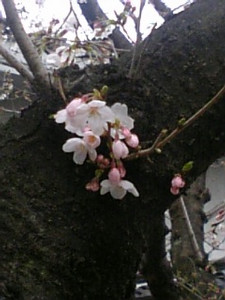 nomrakenta2007-03-31 nomrakenta2007-03-31