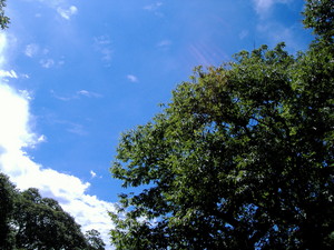 nsw20722007-09-12