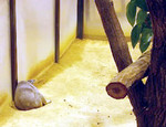 nyuwa2006-03-19 nyuwa2006-03-19
