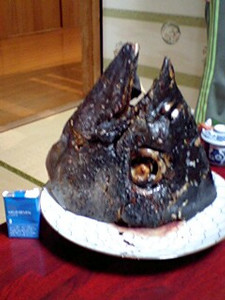 omcon2007-02-11 omcon2007-02-11