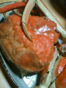 omcon2009-11-16 omcon2009-11-16