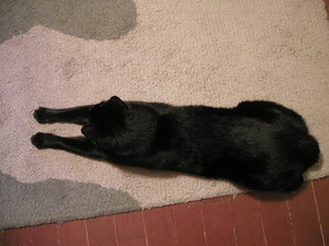 変なかたちのちょこ