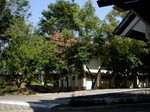 講習会場から見た風景