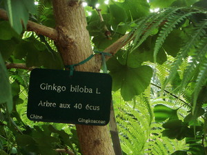 osamuharada2011-08-02 osamuharada2011-08-02