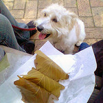 otoshimono2007-05-05