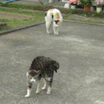 otoshimono2007-05-15