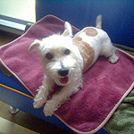 otoshimono2007-10-19