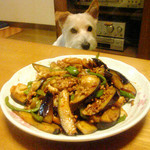 otoshimono2008-07-11 otoshimono2008-07-11